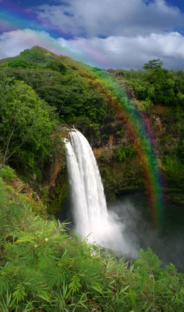 Study Hawaii - Waterfall